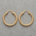 Twisted Hoop Earrings - variation 1