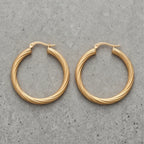 Twisted Hoop Earrings - variation 1