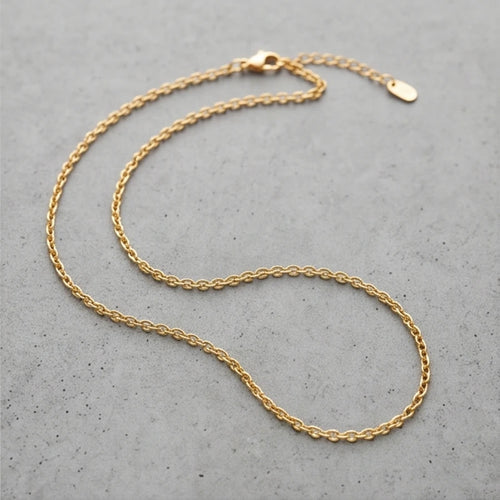 Dainty Gold Chain Necklace - variation 2